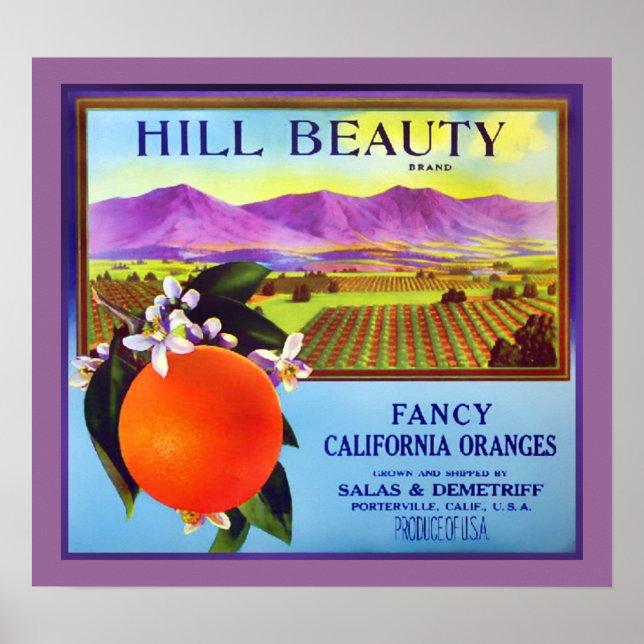 Kalifornien Oranges Fruit Advertisement Print Poster (Framsidan)
