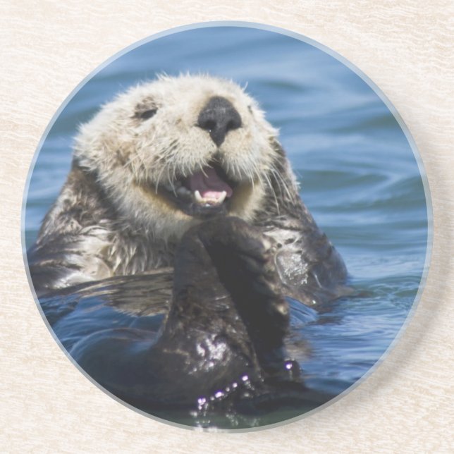 Kalifornien (Otter Enhydra lutris) Underlägg (Framsidan)
