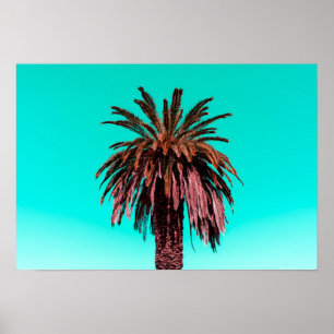 Kalifornien palmträd poster