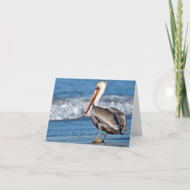 Kalifornien Pelican på Beach Kort (Framsida)