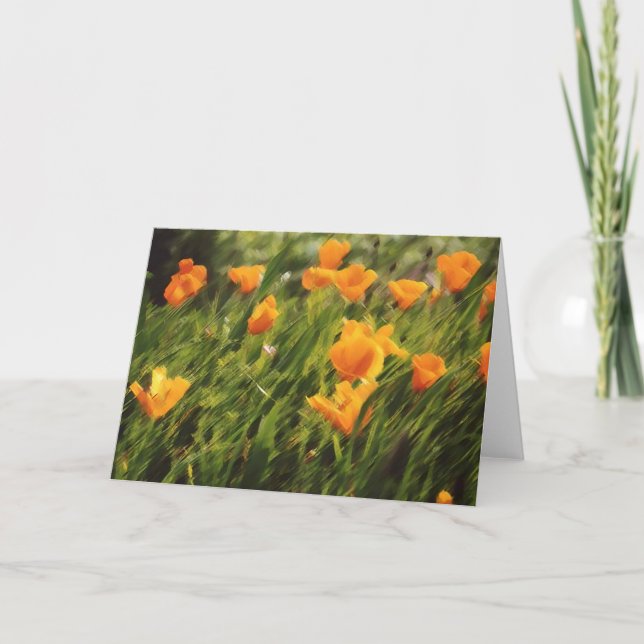 Kalifornien Poppies 01 Kort (Framsida)