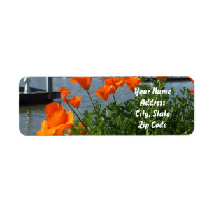 Kalifornien Poppies Adressetiketter Returadress Etikett