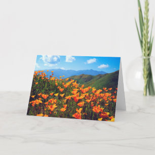 Kalifornien Poppies Covering a Hillside Kort