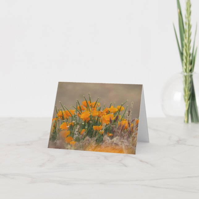 Kalifornien Poppies Kort (Framsida)