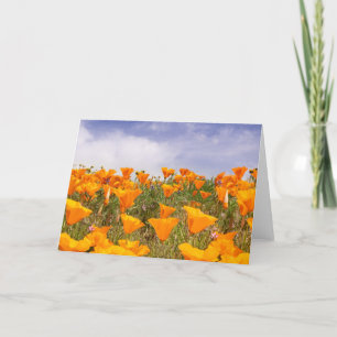 Kalifornien Poppies liggande Kort