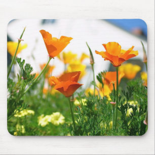 Kalifornien Poppies Musmatta