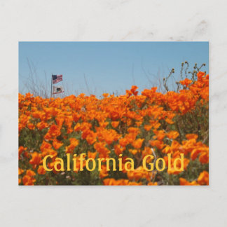 Kalifornien-poppies och American Flagga-vykort Vykort