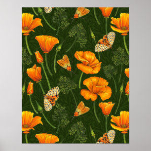 Kalifornien-poppies och muddar på mörk grönt poster