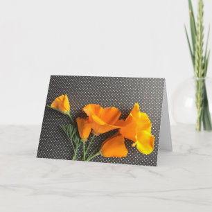 Kalifornien poppies på svart och vitt polka dots kort