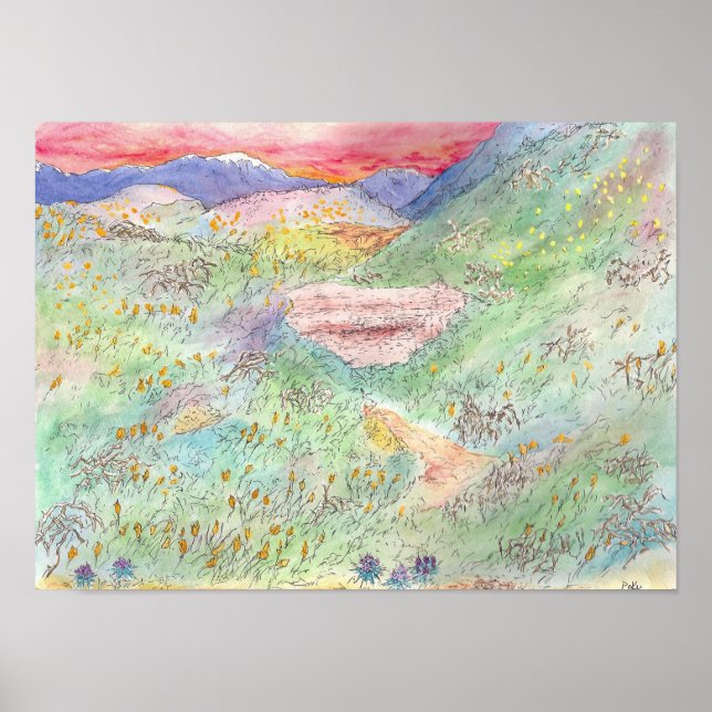 Kalifornien Poppies Poster (Framsidan)