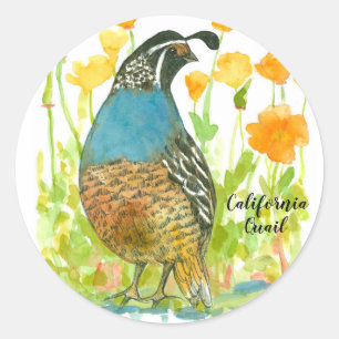 Kalifornien Poppies Quail Bird Watercolor Runt Klistermärke