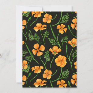 Kalifornien poppies, sommartidblommor, orange wirt