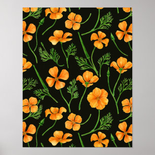 Kalifornien poppies, sommartidblommor, orange wirt poster