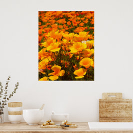 Kalifornien Poppies | Vår skönhet Poster