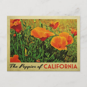 Kalifornien Poppies Vykort