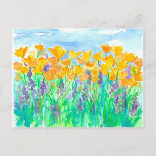 Kalifornien Poppies Watercolor Painting Vykort