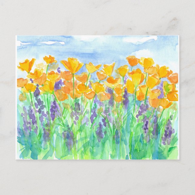 Kalifornien Poppies Watercolor Painting Vykort (Framsida)