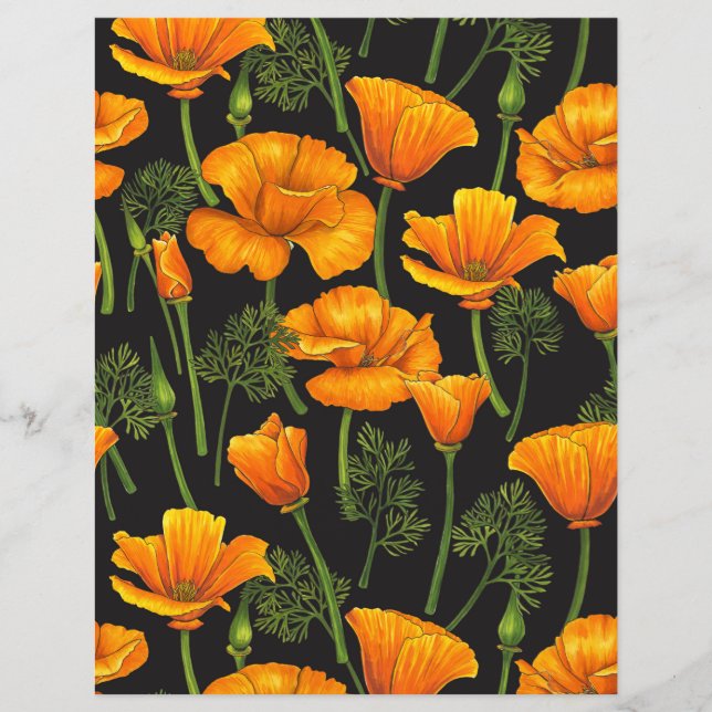 Kalifornien poppy (Framsida)