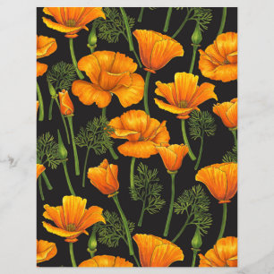 Kalifornien poppy