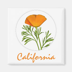 Kalifornien Poppy i en cirkel, "Kalifornien" Text Magnet