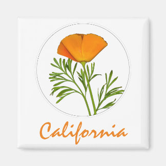Kalifornien Poppy in a Circle, "California" Text Magnet