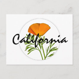 Kalifornien Poppy in a Circle, "California" Text Vykort