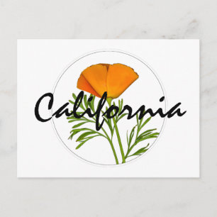 Kalifornien Poppy in a Circle, "California" Text Vykort