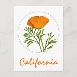 Kalifornien Poppy in a Circle, "California" Text Vykort