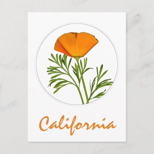 Kalifornien Poppy in a Circle, "California" Text Vykort (Framsida)