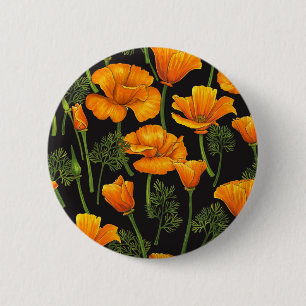 Kalifornien poppy knapp