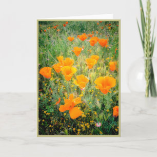 Kalifornien Poppy Kort