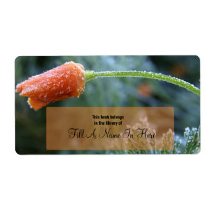 Kalifornien Poppy, lätt frodad Orange Fraktsedel
