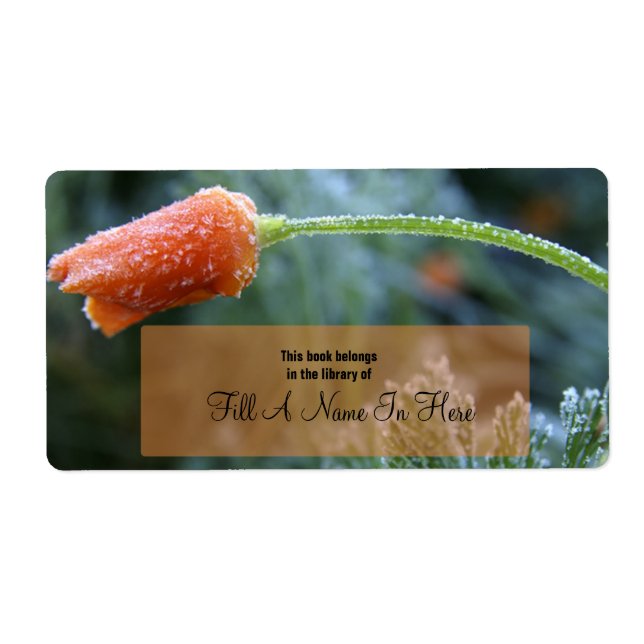 Kalifornien Poppy, lätt frodad Orange Fraktsedel (Framsidan)