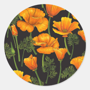 Kalifornien poppy runt klistermärke