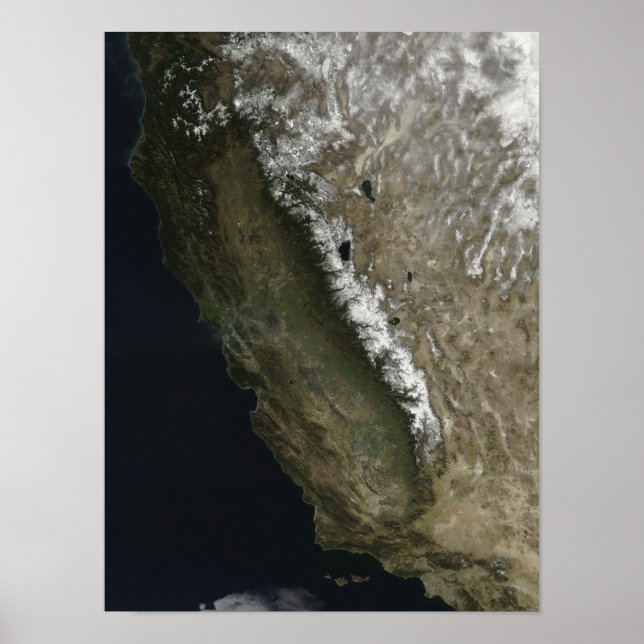 Kalifornien Poster (Framsidan)