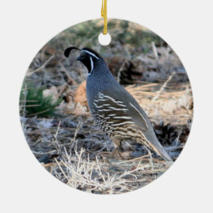Kalifornien Quail Julgransprydnad Keramik