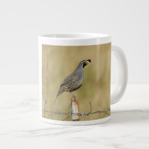 Kalifornien Quail Jumbo Mugg