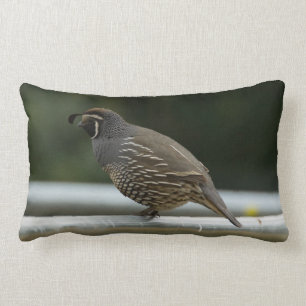 Kalifornien Quail Lumbarkudde