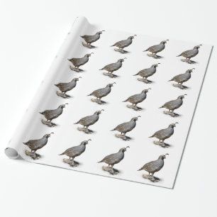 KALIFORNIEN QUAIL PRESENTPAPPER