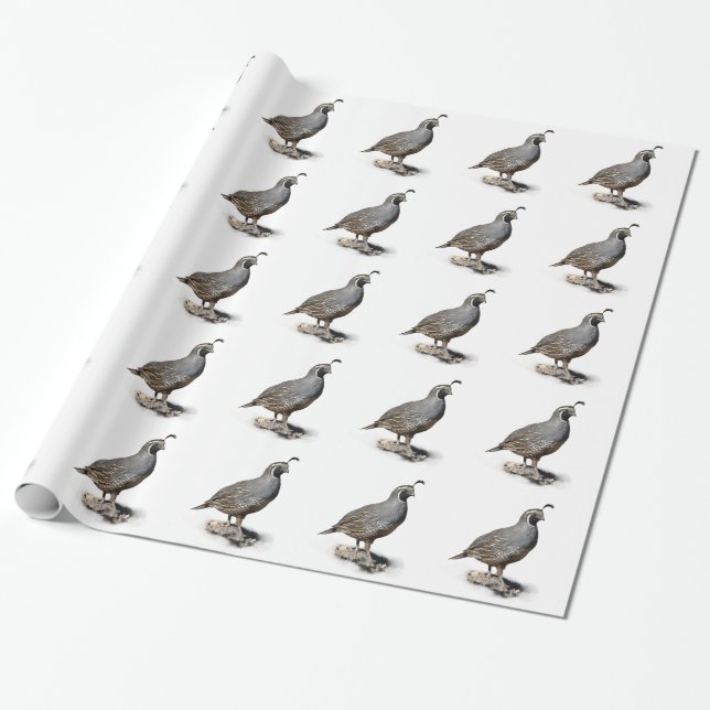 KALIFORNIEN QUAIL PRESENTPAPPER (Utrullad)