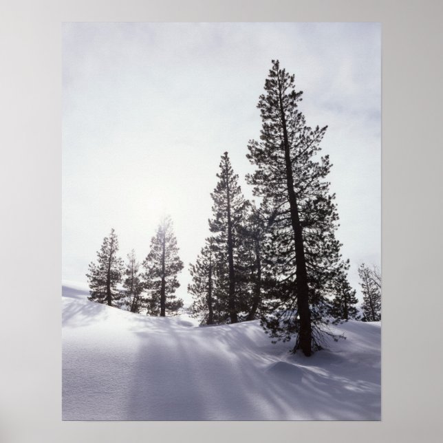 Kalifornien, Rancho Cuyamaca State Park Poster (Framsidan)