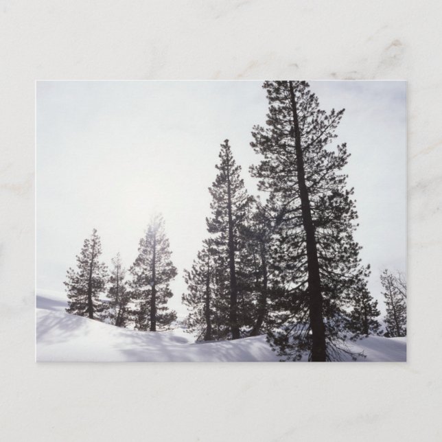 Kalifornien, Rancho Cuyamaca State Park Vykort (Framsida)