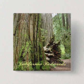 Kalifornien Redwood knappar anpassade Big Redwoods
