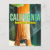 Kalifornien, Redwood-skog, Stort träd, Sequoia
