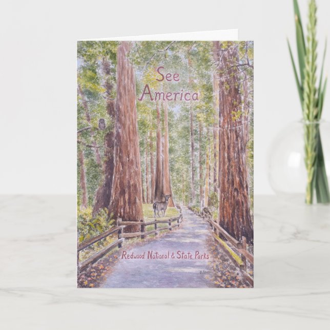 Kalifornien Redwoods Kort (Framsida)