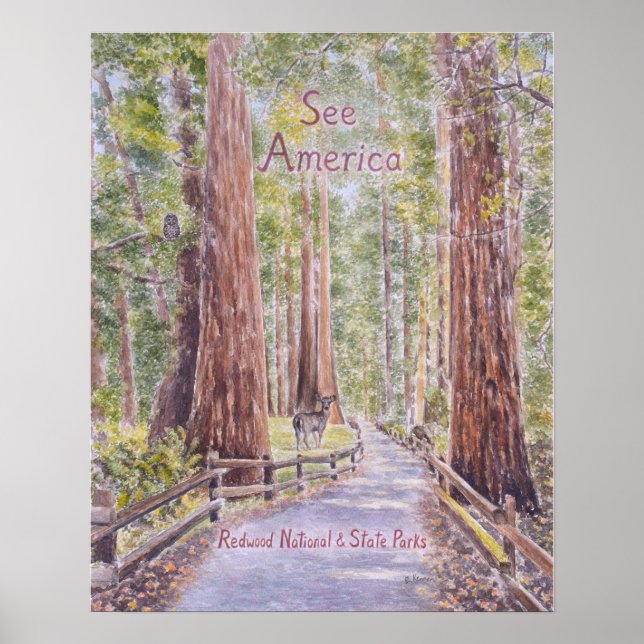 Kalifornien Redwoods Poster (Framsidan)