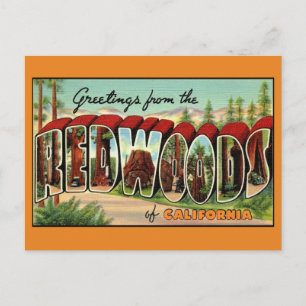 Kalifornien Redwoods Vintage Vykort