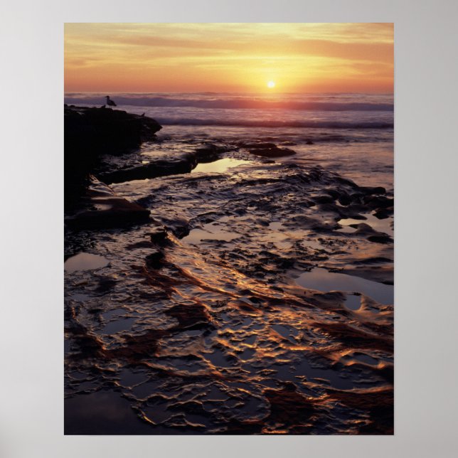 Kalifornien, San Diego, La Jolla, Sunset över Poster (Framsidan)