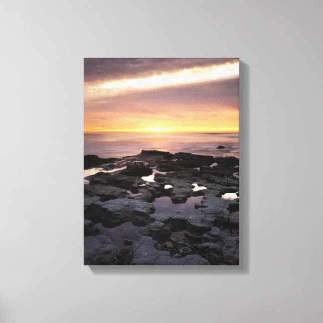 Kalifornien, San Diego, Sunset Cliffs, Sunset 6 Canvastryck (Framsida)