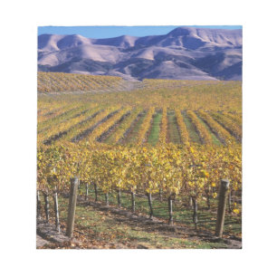Kalifornien, San Luis Obispo County, Edna Valley Anteckningsblock